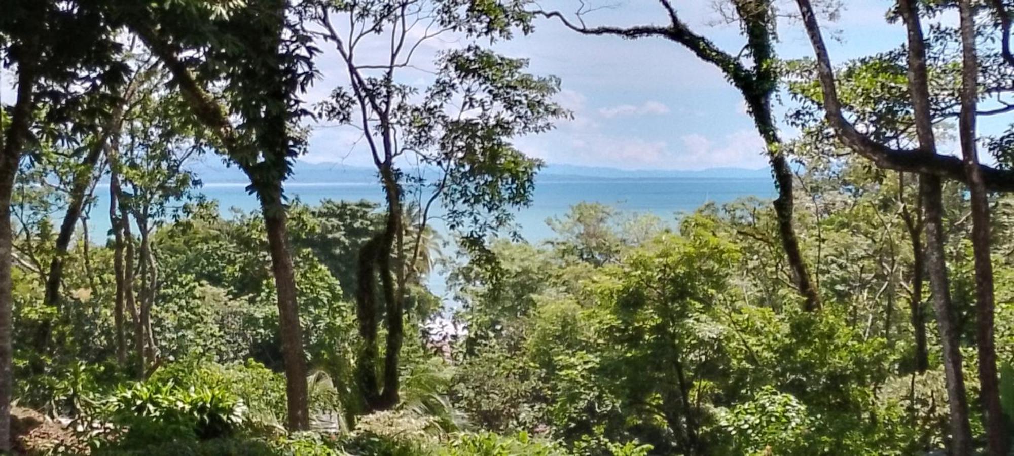 Ocean View Modern Dreamhouse Hotel Pavones  Buitenkant foto